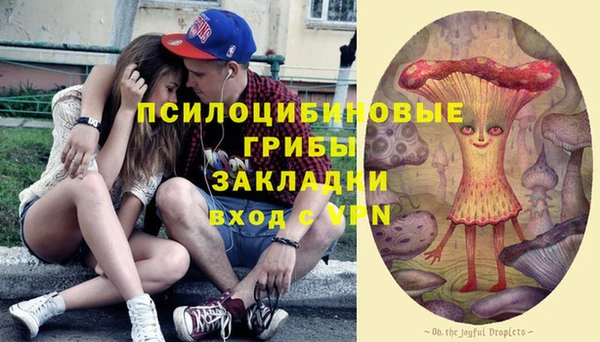 прущая мука Алзамай